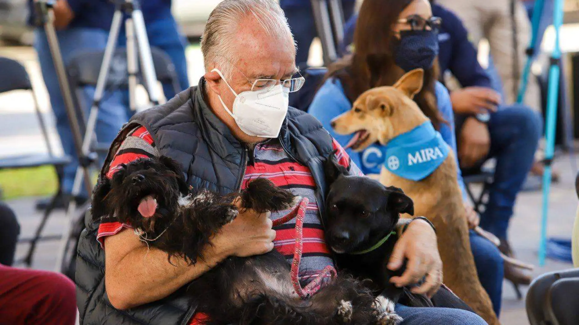 esterilizacion mascotas